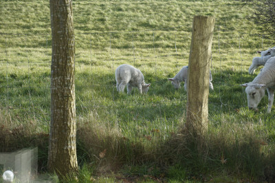 Unsere &quot;Nachbarn&quot;