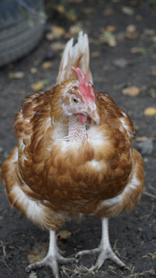 Direkt nach der Rettung