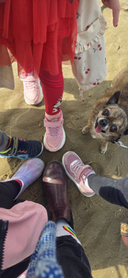 Mit Tilly am Strand