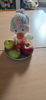Zelda, unser Entenmaskottchen